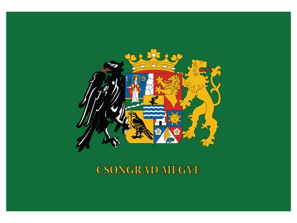 Bandera Del Condado Húngaro Csongrad — Vector de stock