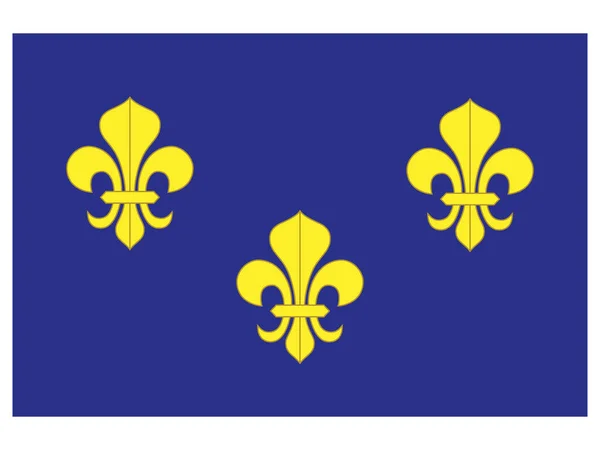Banner Real Durante Reinado Dinastía Valois — Vector de stock