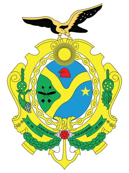 Flat Vector Emblem Της Βραζιλιάνικης Πολιτείας Amazonas — Διανυσματικό Αρχείο