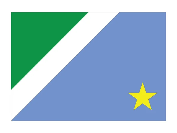 Flaga Wektora Płaskiego Brazylijskiego Stanu Mato Grosso Sul — Wektor stockowy