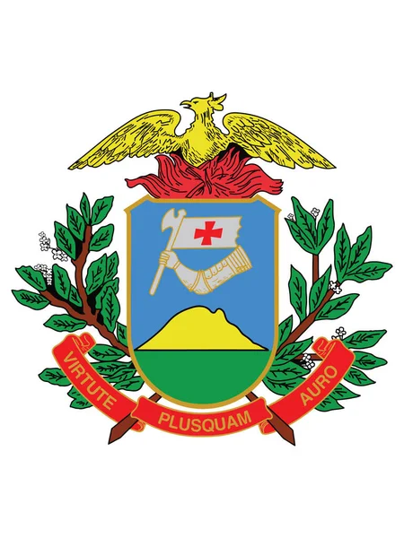 Emblema Vector Plano Del Estado Brasileño Mato Grosso — Vector de stock