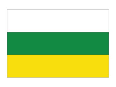 Kolombiya Huila Departmanı 'nın Düz Vektör Bayrağı