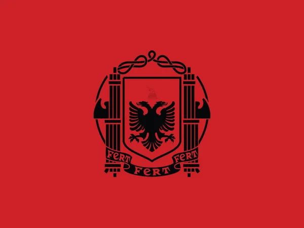 Ilustración Vectorial Bandera Histórica Del Reino Albania 1939 1943 — Vector de stock