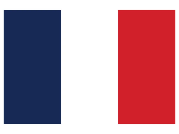 Ilustración Vectorial Bandera Histórica Francia 1794 1815 1830 1958 — Vector de stock