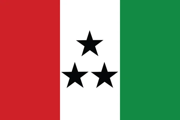 Drapeau Vectoriel Officiel Région Indigène Panaméenne Ngbe Bugl — Image vectorielle