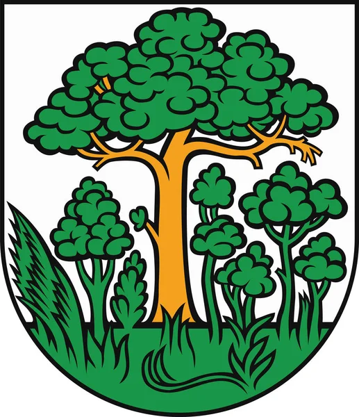 Escudo Armas Administrativo Oficial Del Municipio Petralka Ciudad Capital Eslovaca — Vector de stock