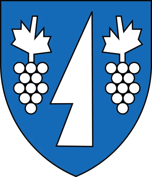 チェコ共和国ブルノ地方の首都 クニキー地区の紋章 — ストックベクタ