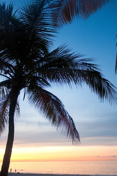 Porto Rico Caroline Coucher de soleil — Photo