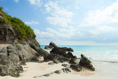 Horseshoe bay beach Bermuda'da