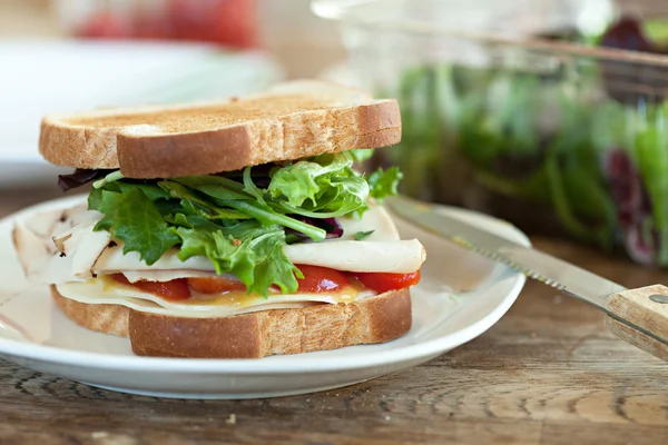 Sandwich de pavo — Foto de Stock