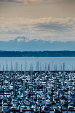 Olympic Mountain Range from Seattle Shore clipart