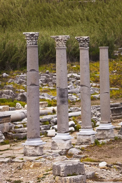 Reconstructed classic Corinthian columns — Stock Photo, Image