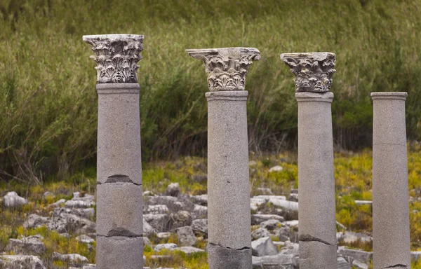 Colonnes corinthiennes classiques — Photo