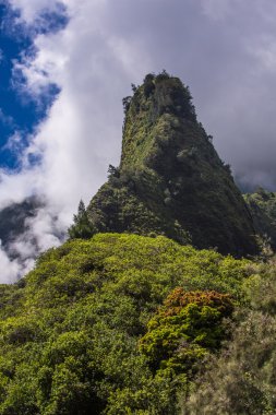 Hawaii IAO iğne