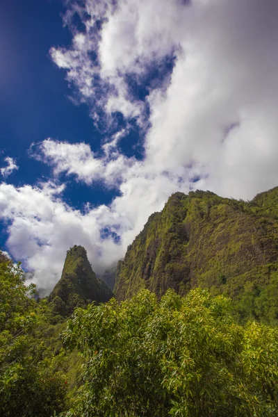 Iao Needle in Rain Forest — Stock Photo, Image