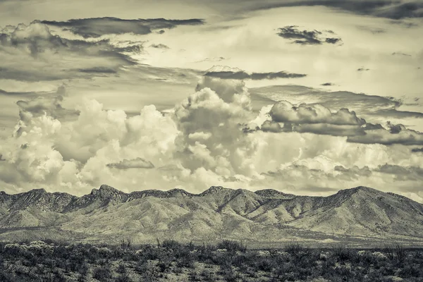 Desert Wilderness Mountains — Stock Photo, Image