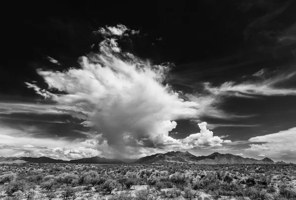 Dramatische wolken in woestijn — Stockfoto