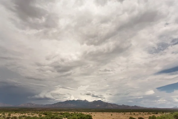 Cloud en vochtigheid in woestijn — Stockfoto