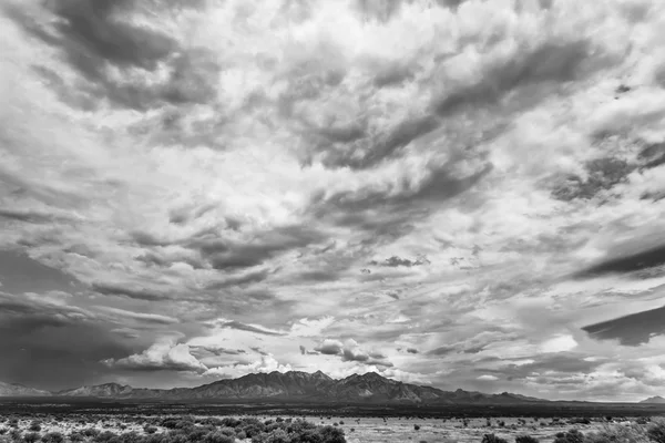 Pora monsunowa w Arizonie — Zdjęcie stockowe