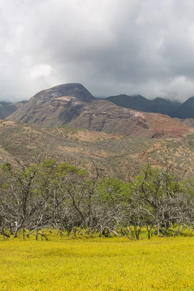 Molokai Clouds Over Mountain — Stock Photo, Image