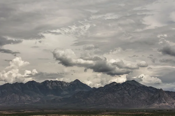 Arizona moesson seizoen — Stockfoto