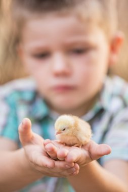 Çocuk yavru kuş içinde palmiye ile