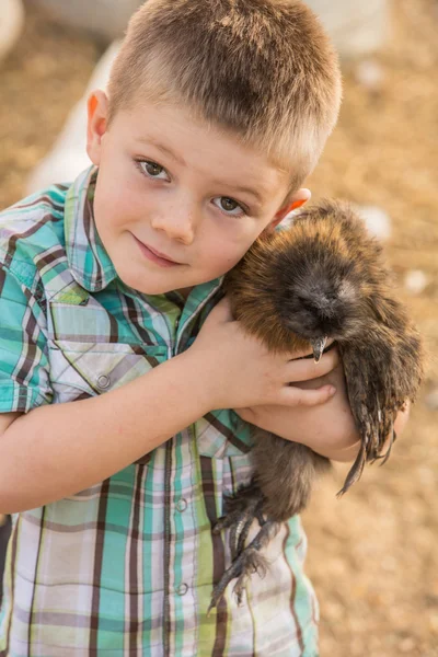 Garçon étreignant poulet animal de compagnie — Photo