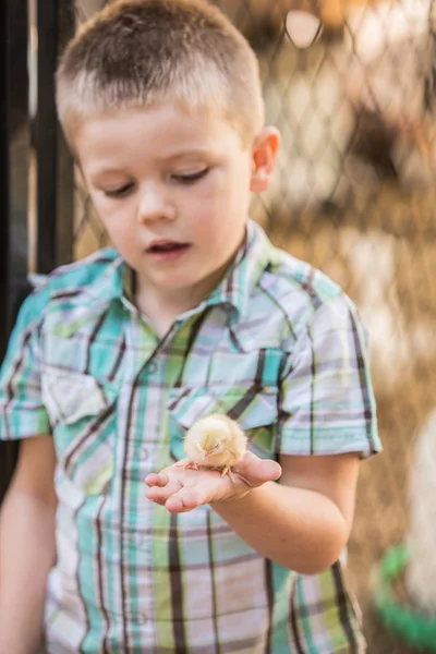 Bambino interessato con uccellino — Foto Stock