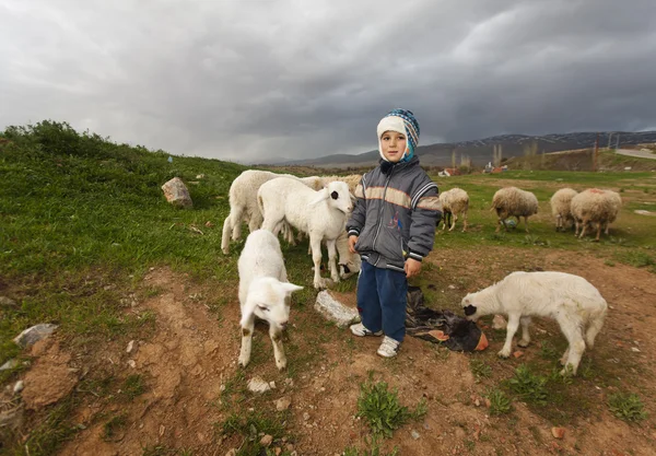 농촌 아나톨리아에서 양치기 소년 — 스톡 사진