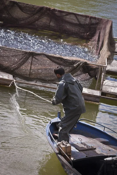 Τουρκική άνθρωπος τράβηγμα στα ψάρια στο βουνό Toros — Φωτογραφία Αρχείου