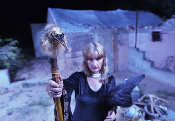 Blond Witch Crow skrzydła — Zdjęcie stockowe