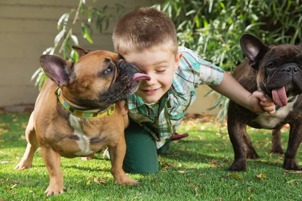 Rapaz bonito com cães afetuosos — Fotografia de Stock