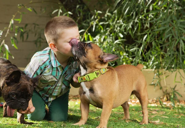 Cão lambendo o rosto de uma criança — Fotografia de Stock