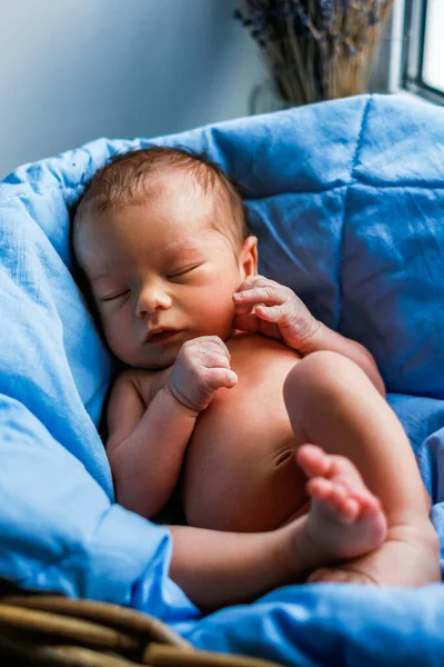 Yeni Doğmuş Bebek Battaniyede Uyuyor - Stok İmaj