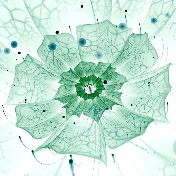 Fleur fractale verte avec des détails violets sur les pétales — Photo