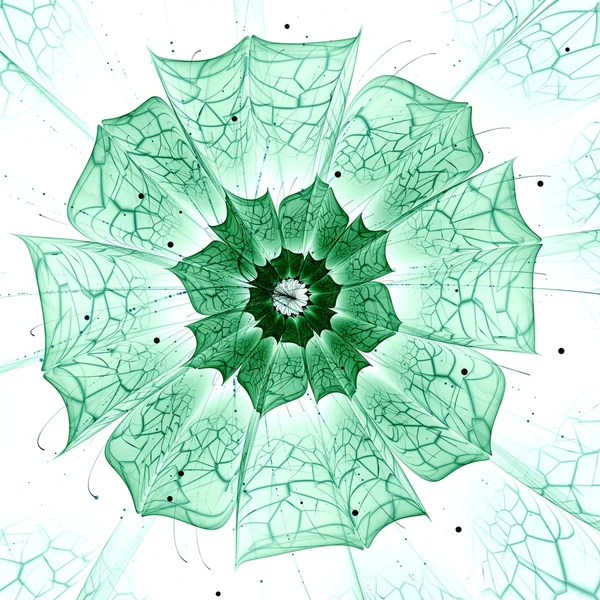 Zelený fraktální květina s fialovými detaily o lístky — Stock fotografie