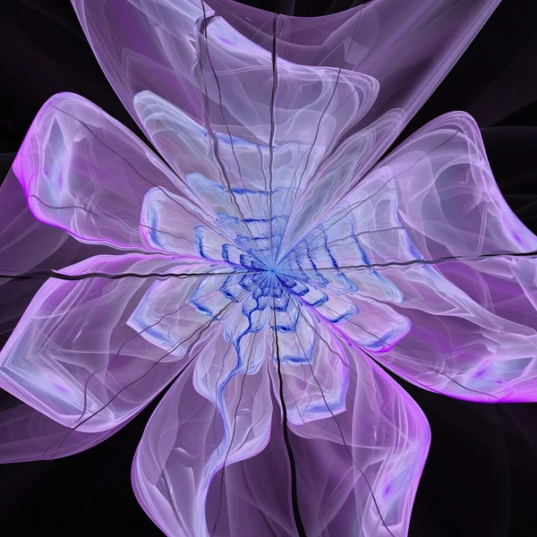 Symmetrical violet fractal flower, digital artwork — Stock Photo, Image