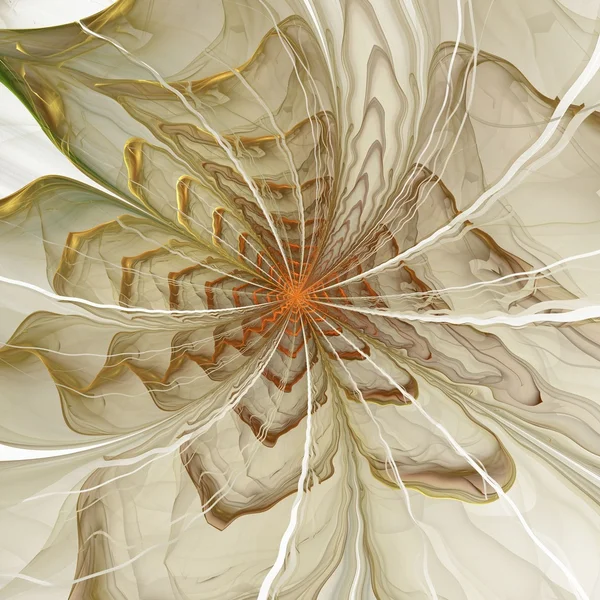 Symmetrical orange fractal flower, digital artwork — Stock Photo, Image