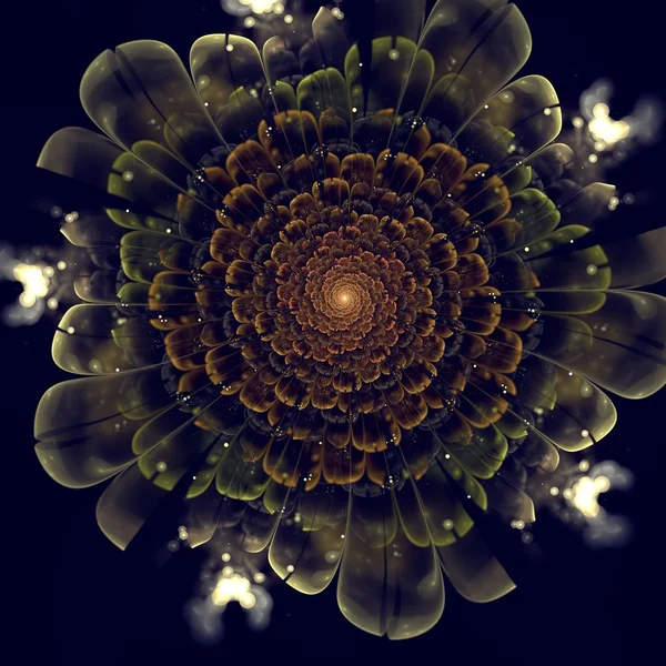 Turuncu fraktal çiçek yaprakları, siyah yeşil ayrıntıları ile — Stok fotoğraf