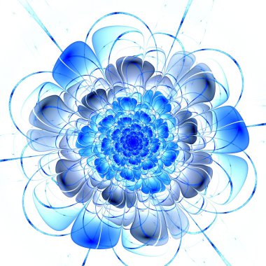 koyu mavi fraktal çiçek deseni