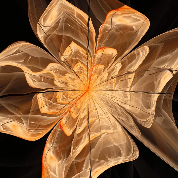 Symmetrische oranje fractal bloem, digitale kunst — Stockfoto