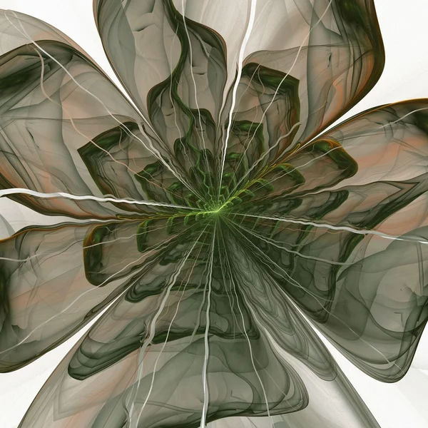 对称的绿色分形花，数码艺术作品 — 图库照片