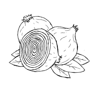 Dilimlenmiş soğanların renksiz doğrusal çizimi