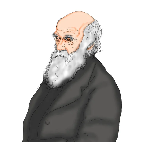 Ρεαλιστική Απεικόνιση Από Τον Βρετανό Φυσιοδίφη Επιστήμονα Charles Darwin — Φωτογραφία Αρχείου