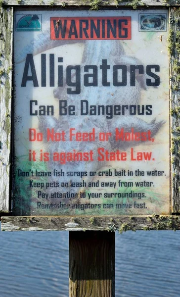 Προειδοποίηση Αλιγάτορες Στην Περιοχή Της Λίμνης Φλόριντα Ηπα — Φωτογραφία Αρχείου