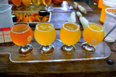 Bira fabrikasında bira tatma uçuşu Jacksonville, Florida