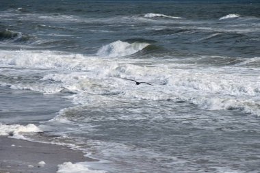 Rough ocean waves at beach beach Florida, USA.
