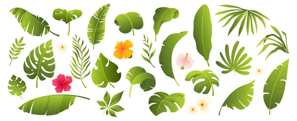 Sbírka Tropických Listů Tropické Rostliny Květiny Izolované Bílém Prvky Pro — Stockový vektor