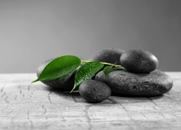 Composition of pebbles with leaves — Stock Photo, Image