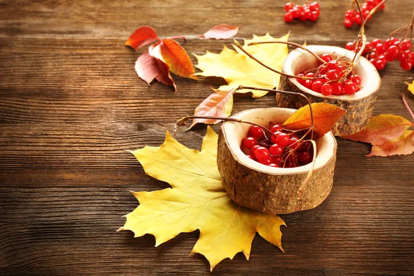 Autumn leaves background — Stock Photo, Image